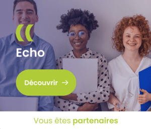 Capture d'écran Visuel Echo FK site web