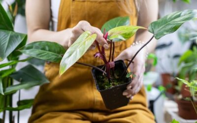 Zoom sur cet accompagnement spécifique, assuré par nos cinq conseillères parcours reconversion, qui guident plus de 900 salariés !