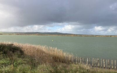 En novembre et décembre derniers, le FPETT a déployé cinq actions Odyssée en région Hauts-de-France, affirmant ainsi le rôle central de cette offre d’accompagnement dans la sécurisation des parcours professionnels.