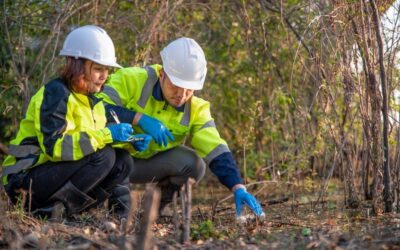 Le FPETT s’associe aux DREETS PACA, Hauts-de-France et Pays de la Loire pour cofinancer trois études visant à mieux comprendre et anticiper les évolutions de l’emploi intérimaire.
